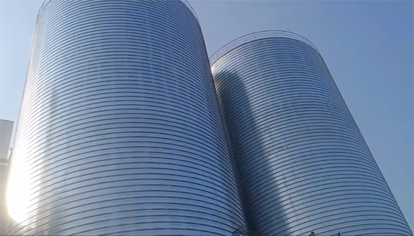 奇台2座混凝土高架卷板仓